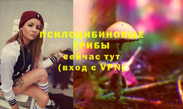 твердый Абинск