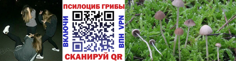 Галлюциногенные грибы Psilocybine cubensis  хочу наркоту  MEGA маркетплейс  Шилка 