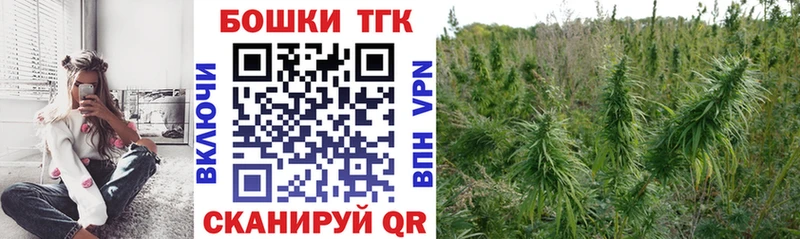 MEGA вход  Шилка  Канабис индика  как найти закладки 